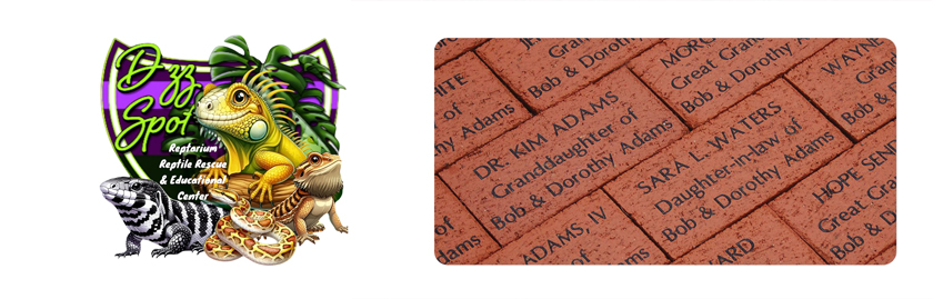 D'zz Spot Reptarium & Educational Center Inc.