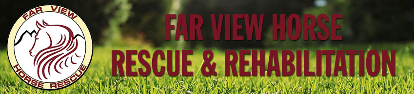 Far View Horse Rescue & Rehabilitation